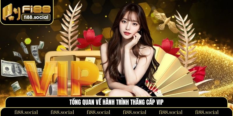 Tổng quan về Hành trình thăng cấp VIP